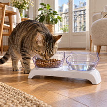 Double gamelle surélevée pour chat – 2 bols