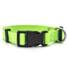 Collier réfléchissant réglable pour chien