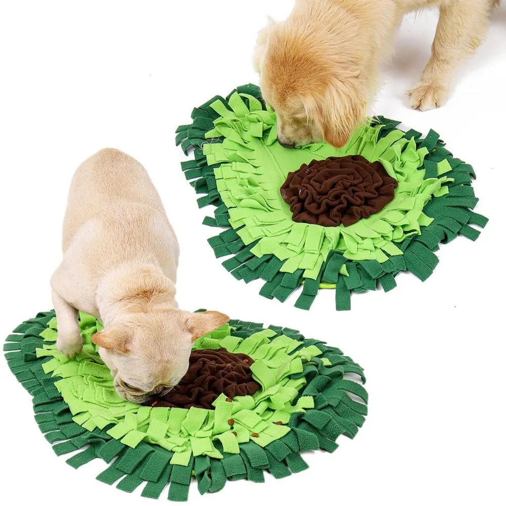 Tapis de fouille pour chien – jeu d’odorat interactif