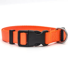 Collier réfléchissant réglable pour chien