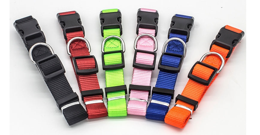 Collier réfléchissant réglable pour chien