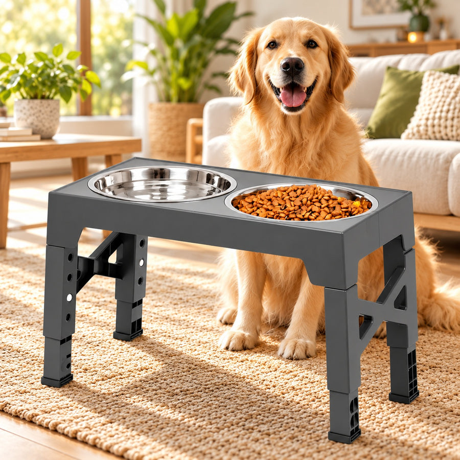 Gamelle anti-glouton surélevée pour chien