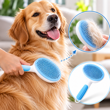 Brosse auto-nettoyante pour chiens et chats