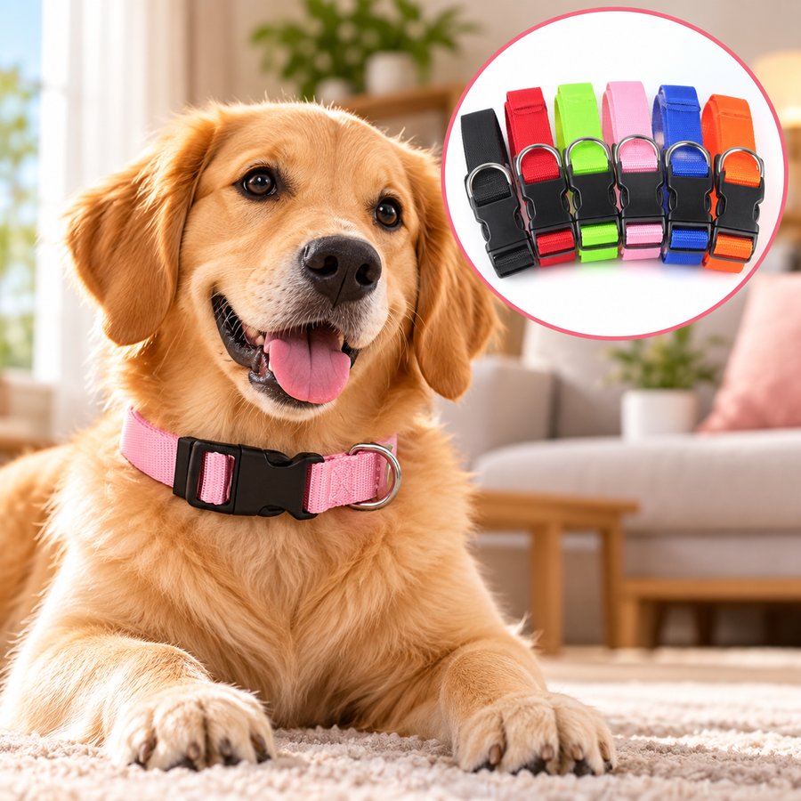 Collier réfléchissant réglable pour chien