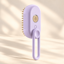Brosse brumisante 3-en-1 pour chat