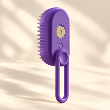 Brosse brumisante 3-en-1 pour chat