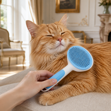 Brosse auto-nettoyante pour chiens et chats