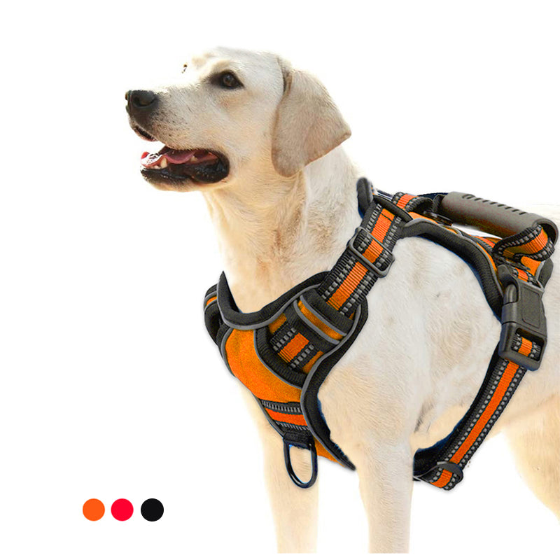 Harnais réfléchissant anti-traction pour chien