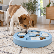 Jouet puzzle distributeur de croquettes pour chien – bleu rond