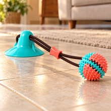 Jouet à ventouse et balle à tirer pour chien