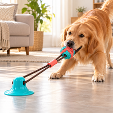Jouet à ventouse et balle à tirer pour chien