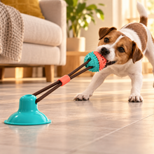 Jouet à ventouse et balle à tirer pour chien