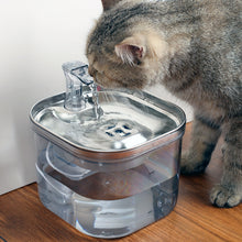 Fontaine à eau silencieuse pour chiens et chats
