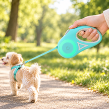 Laisse rétractable pour chien – 3 ou 5 m