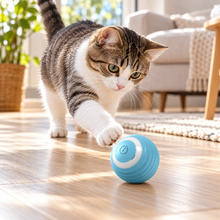 Balle interactive rechargeable pour chat