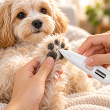 Tondeuse de précision pour pattes de chien